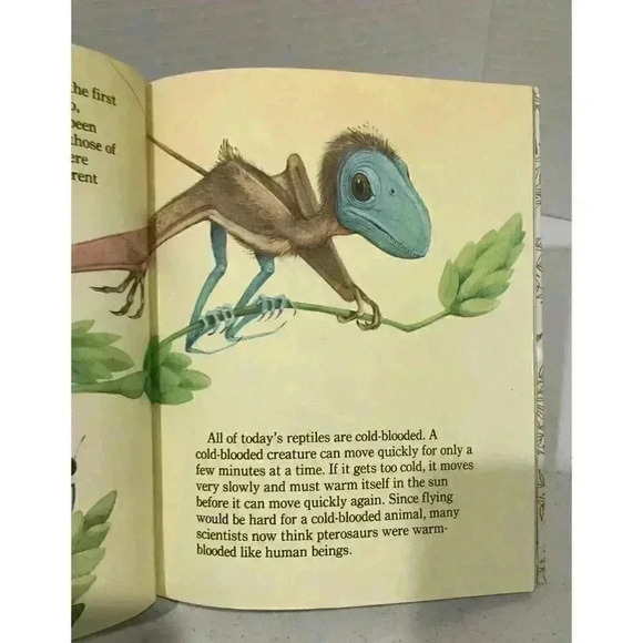 Vintage Flying Dinosaurs, Little Golden Book 1990, HC Junk Journal Ephemera - Picture 3 of 6